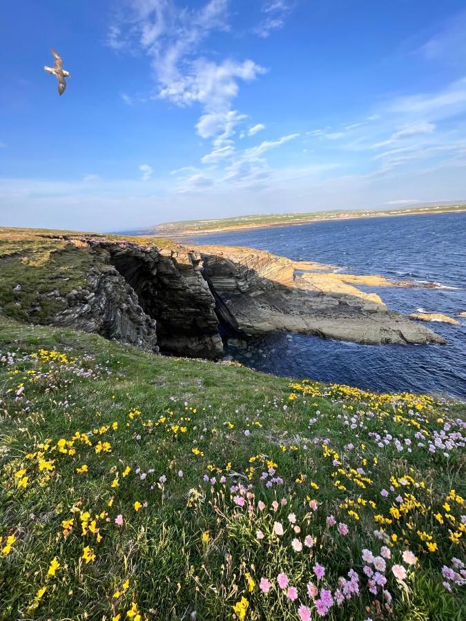 Peedie Cott Self-Catering, Orkney Saint Margarets Hope Exterior foto
